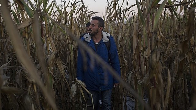 Užfiksuota pabėgėlio kelionė į Vokietiją atskleidžia jo vargus