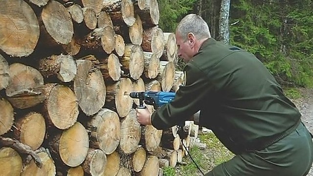 Kaip miškininkams apsaugoti nukirstą medieną? (I)