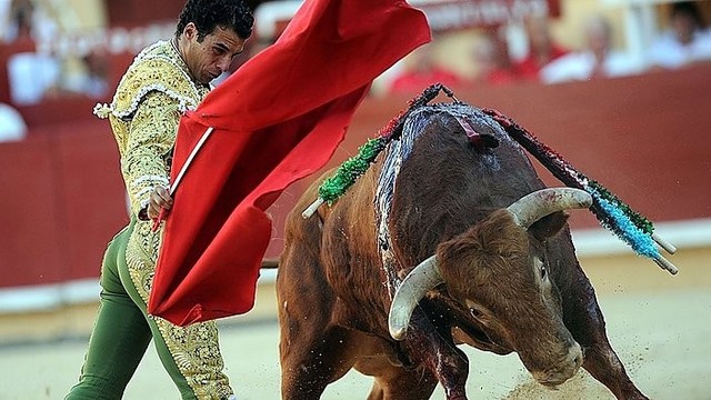 Ispanijoje – nerimas dėl grėsmės šimtametei koridos tradicijai