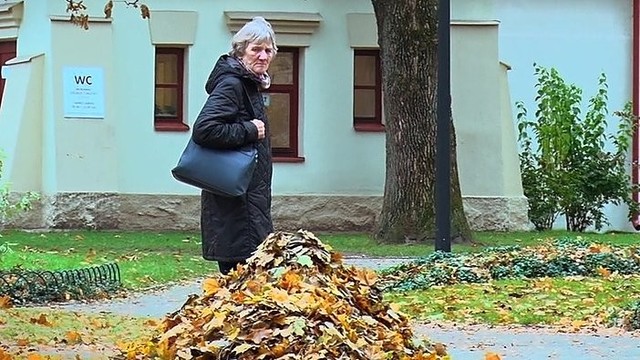 Šlamantys lapai Vilniuje – kas juose?