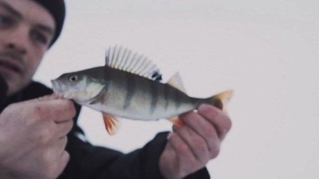 Ešerių žvejyba Dzūkijoje – kas slepiasi po ledu? (I)