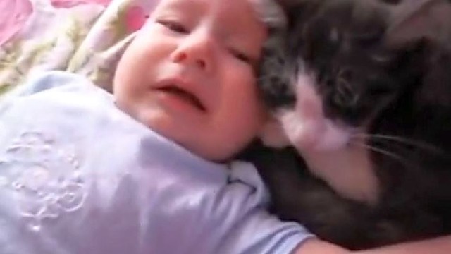 Katė-auklė rūpinasi kūdikiu ne prasčiau nei tėvai
