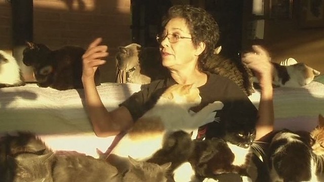 Katėms namus užleidusi amerikietė pati gyvena vagonėlyje