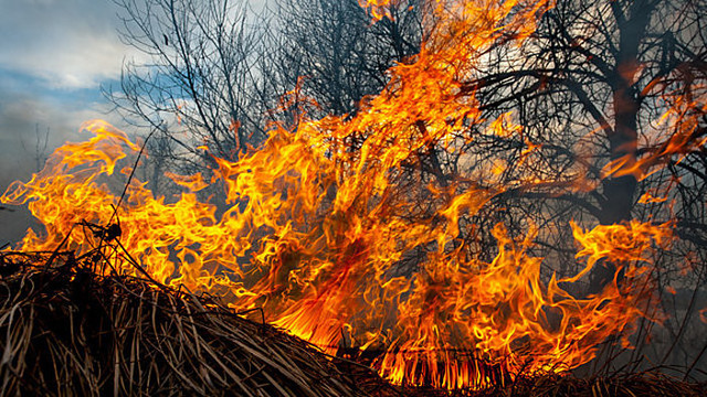Darbymetis gaisrininkams: žolės degintojų baudos negąsdina