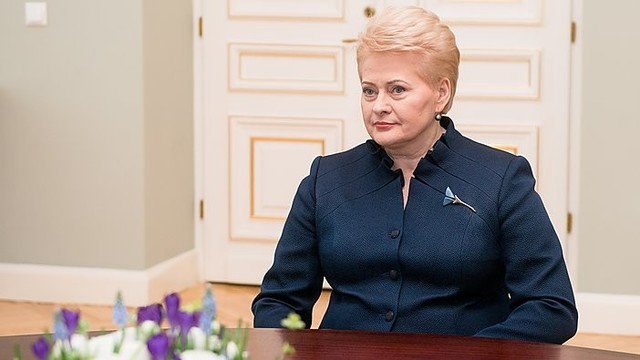 Dalia Grybauskaitė: komisijos kūrimas – spaudimas teisėsaugai