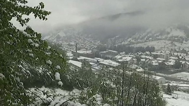 Serbijos aviečių augintojai išsigando: miestą apgaubė sniegas