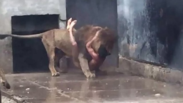 Ramų savaitgalį zoologijos sode sujaukė tragiškas incidentas
