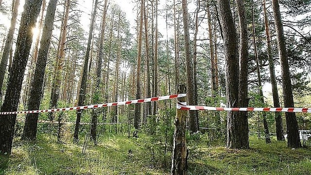 Varėnos miške rastos paauglės kūnas iškėlė daugiau klaustukų