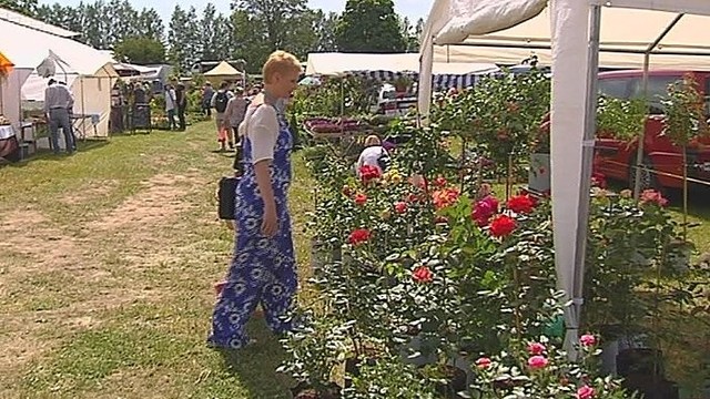 Kova su gėlių prekybininkų godumu: į Lietuvą ateis gėlių „Lidl“