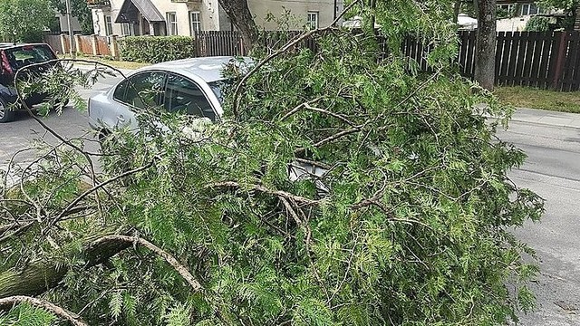 Stiprus vėjas Vilniuje vartė medžius: apgadinti automobiliai