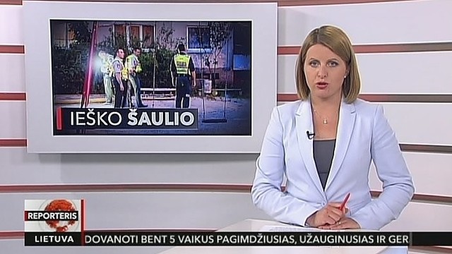 Vilniuje kažkas smaginasi šaudydamas iš orinio šautuvo (I)