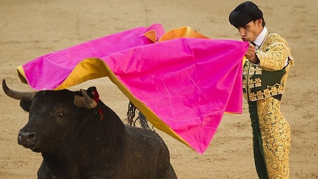 Ispanijoje bulius per kovą ragu mirtinai subadė matadorą