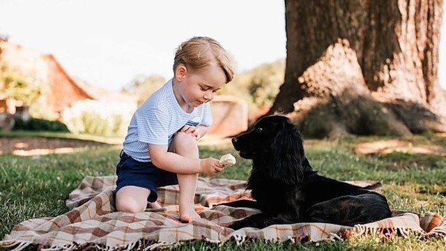 Pasigrožėkite: mažasis princas George'as švenčia gimtadienį