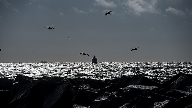 Kodėl Baltijos jūra yra bene labiausiai užteršta pasaulyje?