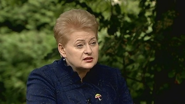 D. Grybauskaitė: vien valdžios pajėgomis nieko nepadarysi (I)