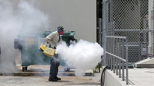 JAV medikai įsibaiminę – Floridoje plinta Zikos virusas