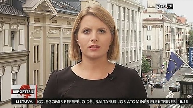 Prezidentė per vasarą Seimui paruošė 16 pataisų (II)