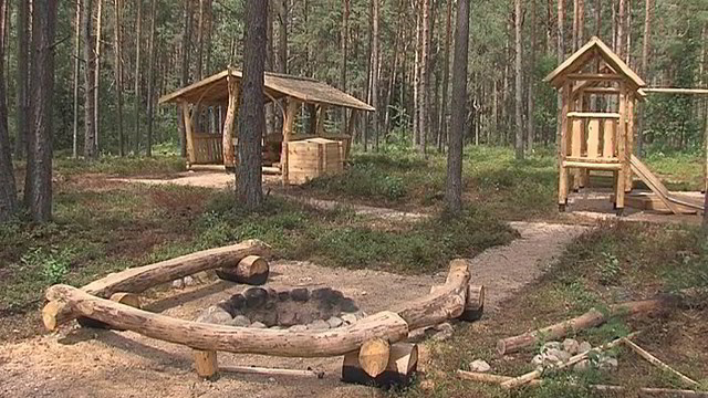 Ar lietuviai gali gauti paramą savo miškų plėtrai?