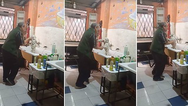Šunų kirpėjo žmona, užtikusi vyrą darbe, leipo juokais