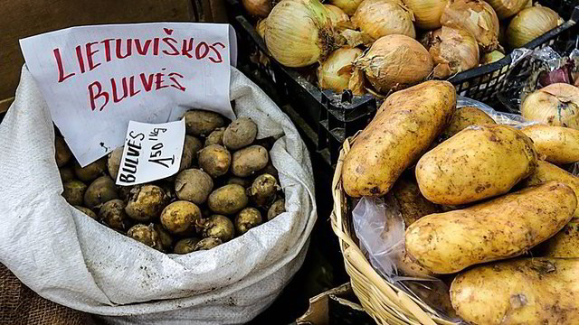 Prognozė: lietuviškų bulvių gali ir pritrūkti