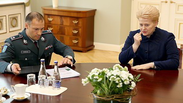 Dalia Grybauskaitė negailėjo kritikos policijos sistemos pertvarkai