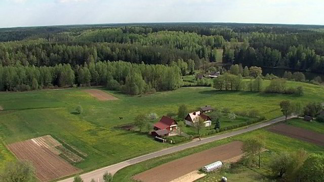 Miškai kertami, bet miškų plotai Lietuvoje didėja? (I)