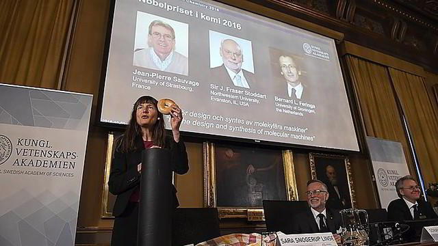 Lietuvio neįvertino: Nobelio chemijos premiją pasidalino kiti