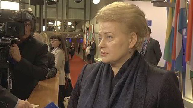 Dalia Grybauskaitė: įtampa tarp Vakarų ir Rusijos didėja