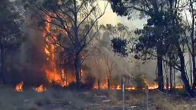 Australijoje paauglys tyčia padegė mišką, pridarė nemažai žalos