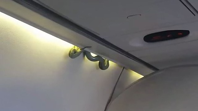 Keleivis nufilmavo šiurpų radinį – teko tupdyti lėktuvą