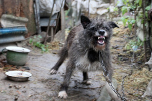 Pavojingos užkrečiamosios ligos lietuviai pernai išvengė