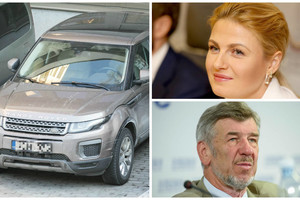 VTEK pirmininkas paskubėjo užstoti Gretą Kildišienę