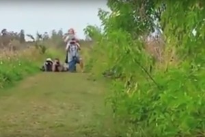 Šnaresį krūmuose išgirdę žmonės nepatikėjo savo akimis: išlindo pabaisa