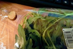 Pirko gražgarsčių, parsinešė augintinę