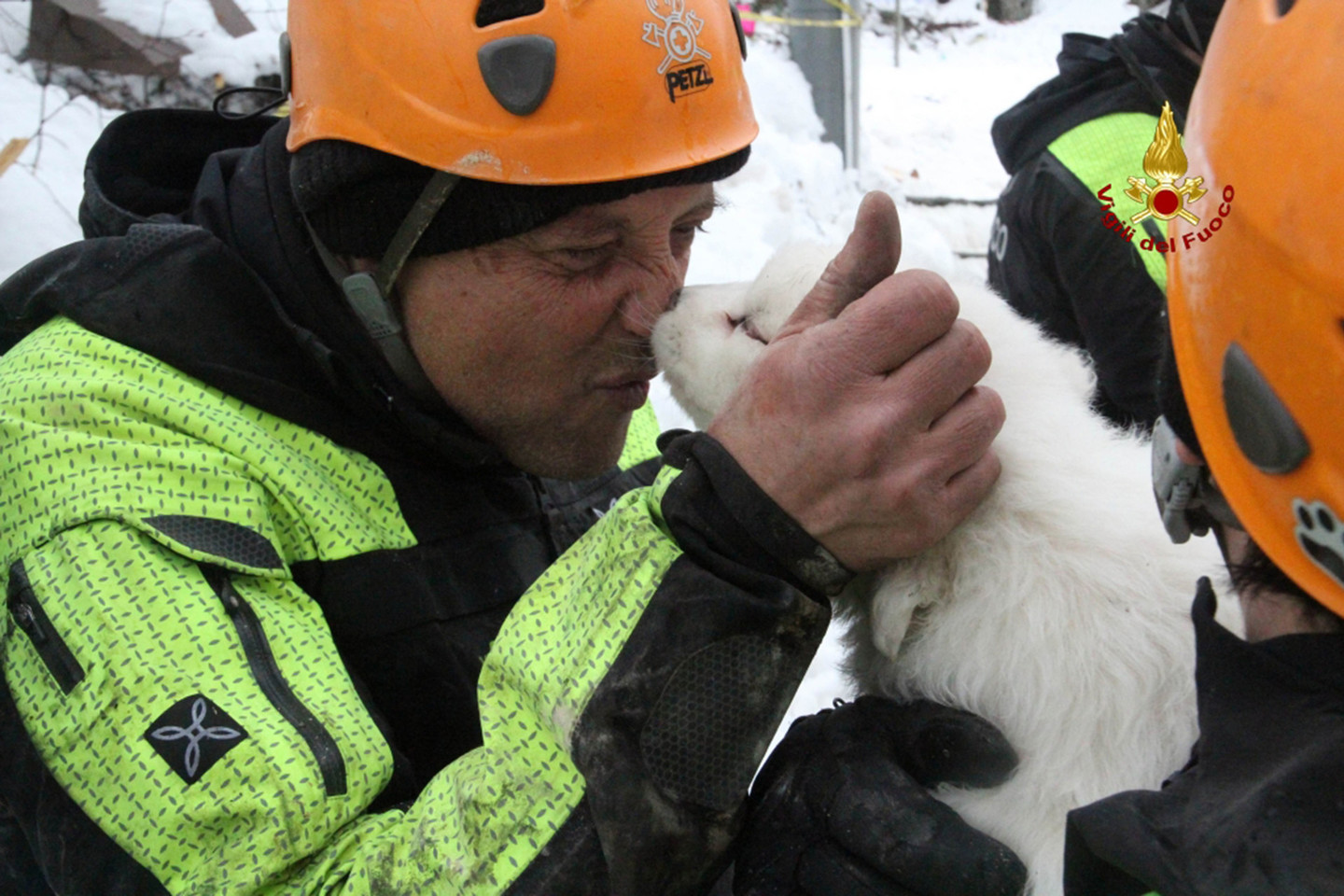 Italijoje gelbėtojai sako sniego griūties sugriautame kalnų viešbutyje radę tris gyvus šuniukus.<br>AFP/“Scanpix“ nuotr.