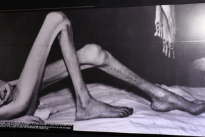 Protu nesuvokiama: Aušvice milijonus pražudė dujos, kulkos, kankinimai, badas