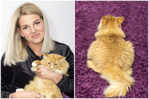 Beprotiška meilė: geriausiam draugui moteris atleidžia viską