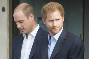 Britanijos princai Williamas ir Harry užsakė princesės Dianos statulą