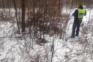 Iš prieglaudos paėmę šunį, po 10 dienų nukankino ir užmušė