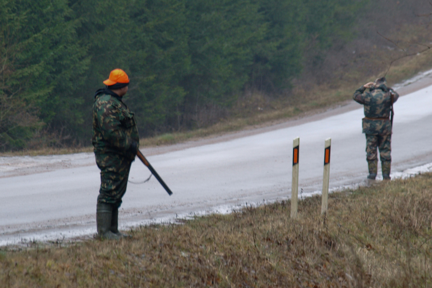 Radviliškio rajone šeštadienį per medžioklę nukentėjo jaunas vyras.<br>V.Ščiavinsko asociatyvioji nuotr.
