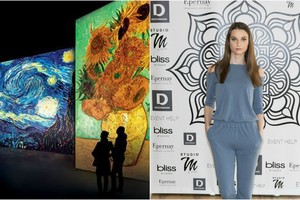 Linos Anušauskienės pyktis davė vaisių – V. van Gogho paroda atpigs