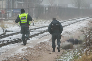 Autobusų žiede netoli Vilniaus čigonų taboro – kraupus radinys