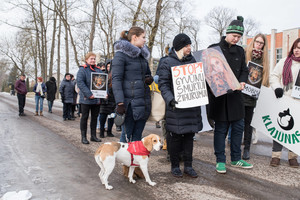 Pagerbtas žiauriai kirviu sukapotas šunelis Mobis