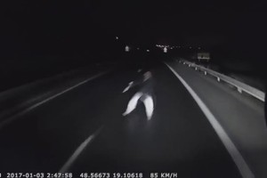 Stingdantis vaizdas: vairuotojas žmogų ant kelio išvydo paskutinę akimirką