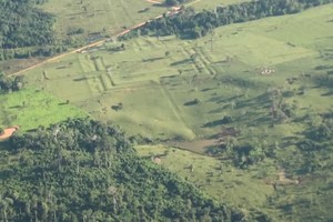 Ką slepia paslaptingos įdubos Amazonės miškuose?