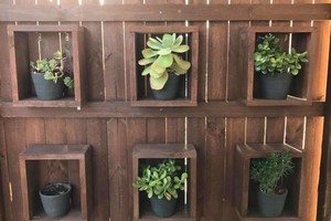 Pastabumo testas: ar pajėgsite surasti 1,8 m ilgio gyvatę?