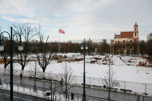 Lukiškių aikštėje plėvesuos Vyčio vėliava, bet paminklo nebus?