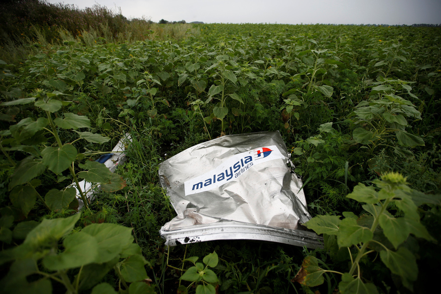 „Malaysia Airlines“ lėktuvas buvo numuštas 2014 metų liepą.<br>„Reuters“/“Scanpix“ nuotr.
