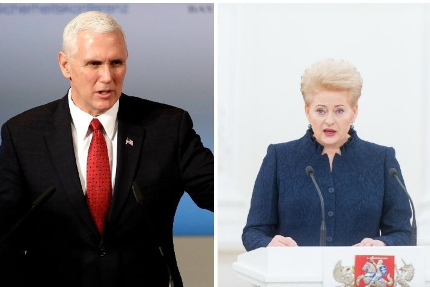 D.Grybauskaitė bendravo su JAV viceprezidentu M.Pence'u.<br>AP ir T.Bauro nuotr.