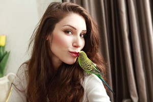 Papūgų tyrimas atskleidė netikėtą jų savybę